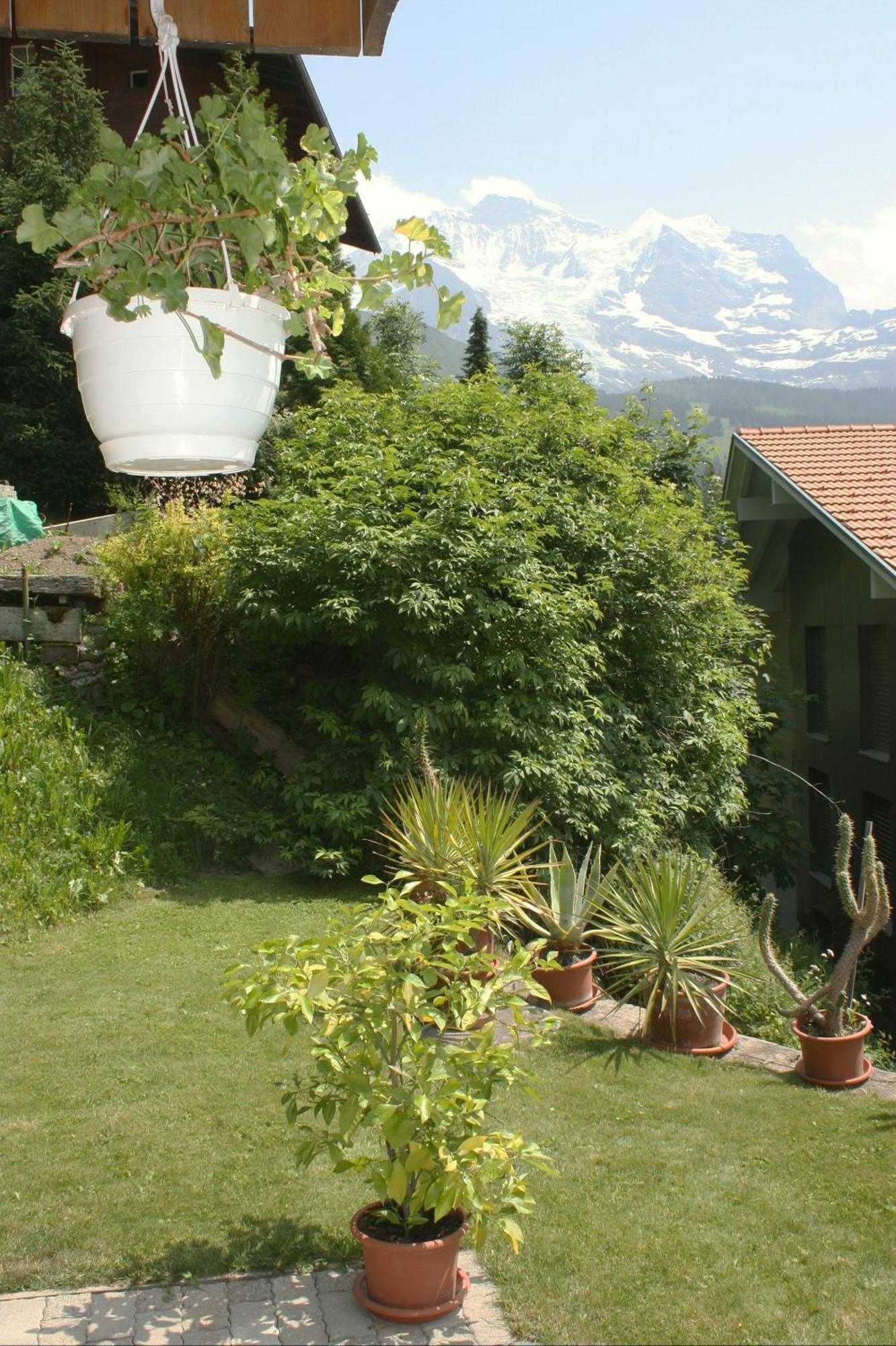 וונגן Chalet Protea מראה חיצוני תמונה